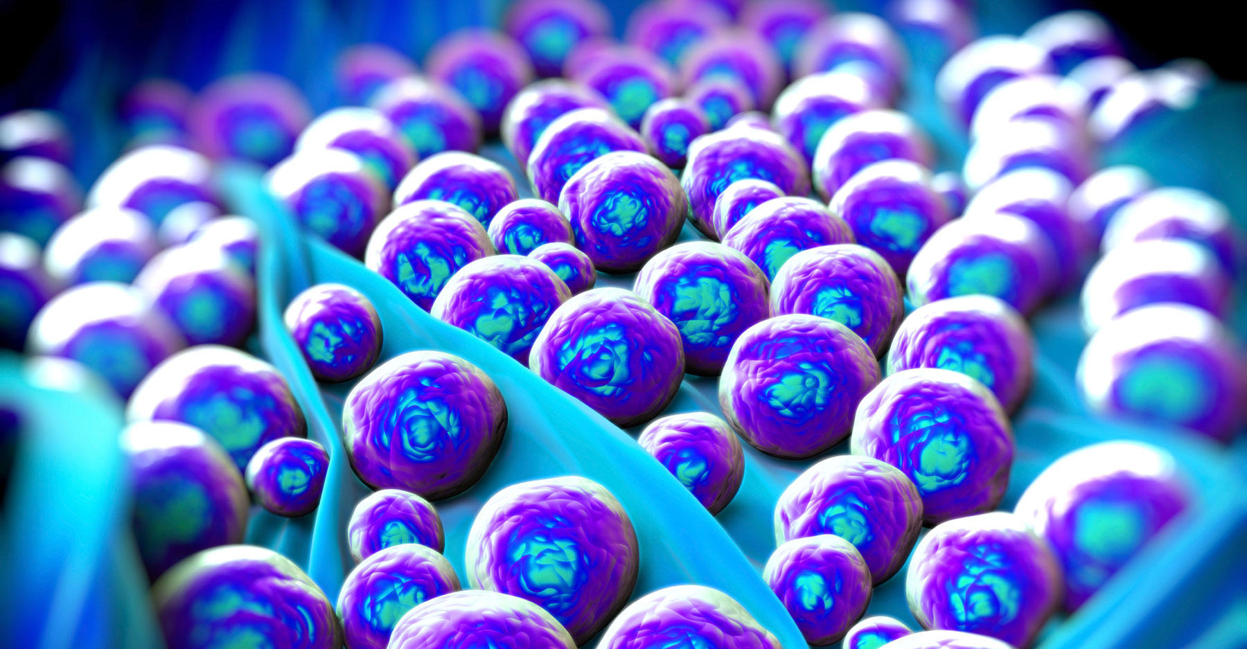 mrsa-istock-cropped